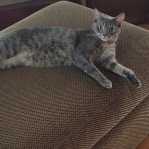 Meet your Posher, Symone